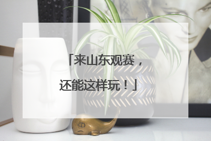 来山东观赛，还能这样玩！